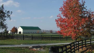ApplewoodFarm