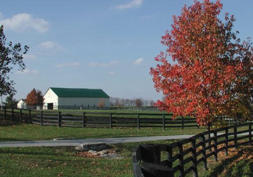 ApplewoodFarm