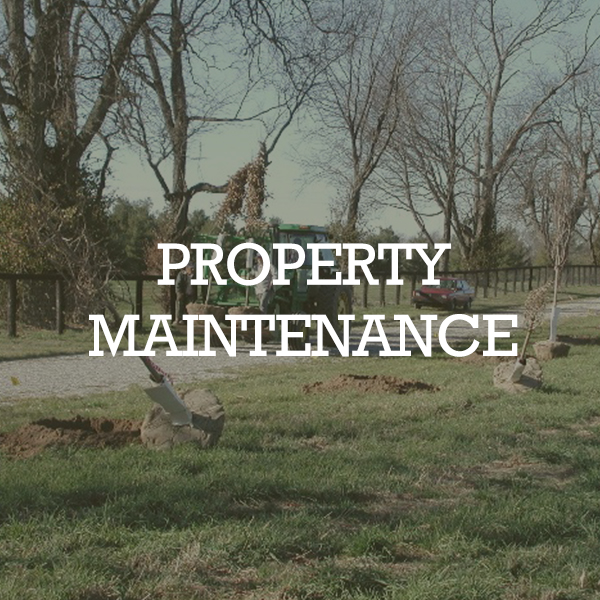 MAINTENANCE