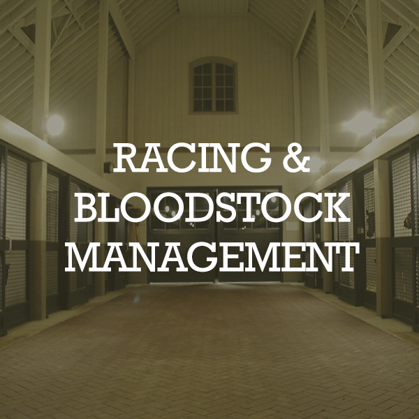 EQUINE MANAGEMENT