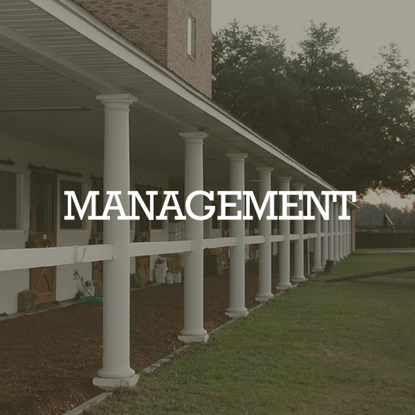 MANAGEMENT
